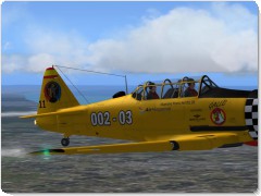 Ampliar foto: AHS512B - T-6 GALLO AÑO 2009 AHS512B - T-6 GALLO AÑO 2009